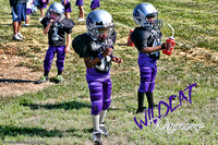Wildcats Football - 5-6yrs